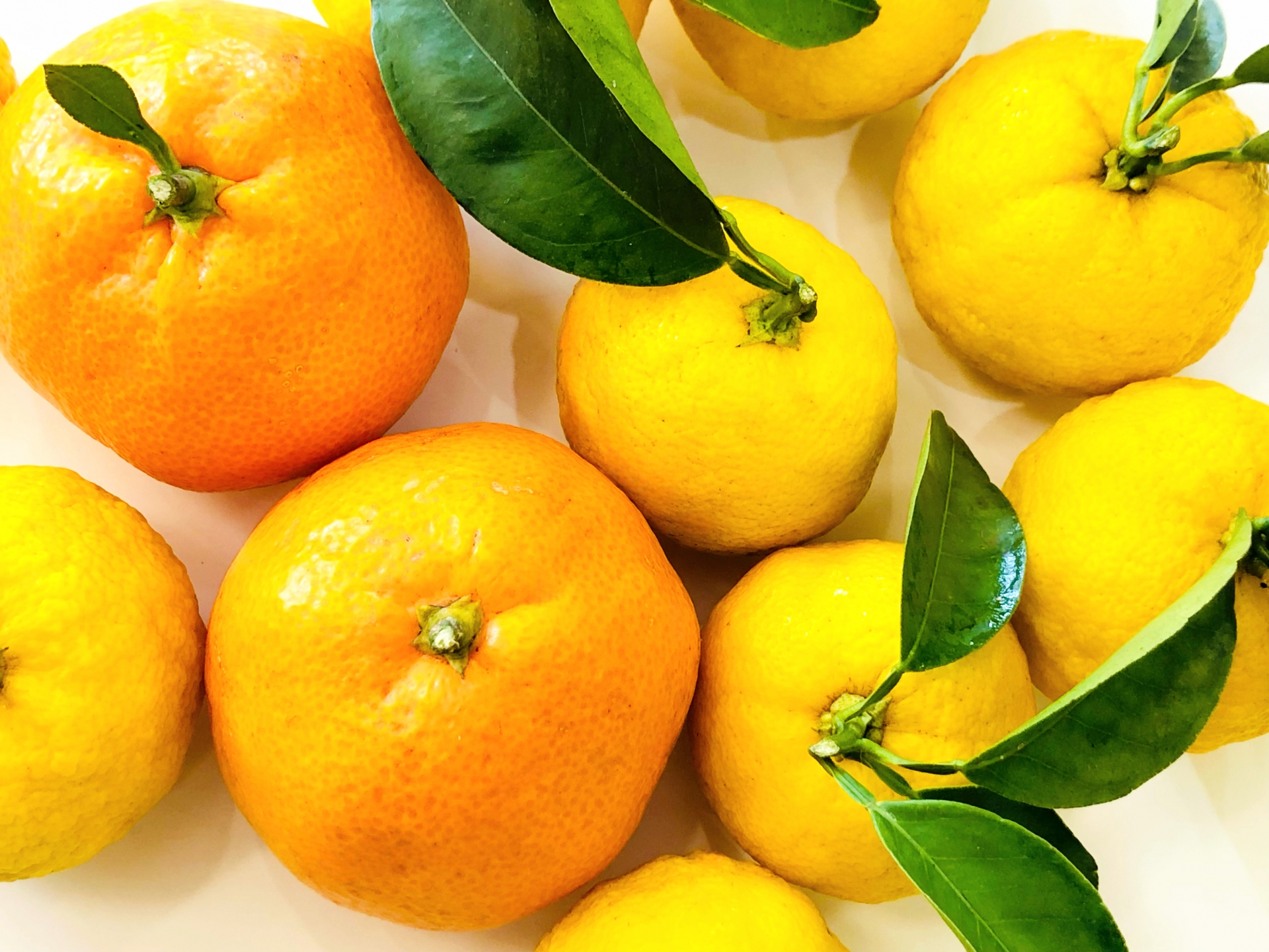 種類いろいろ！秋〜春先に大量の柑橘が並ぶファーマーズマーケット「紀菜柑」