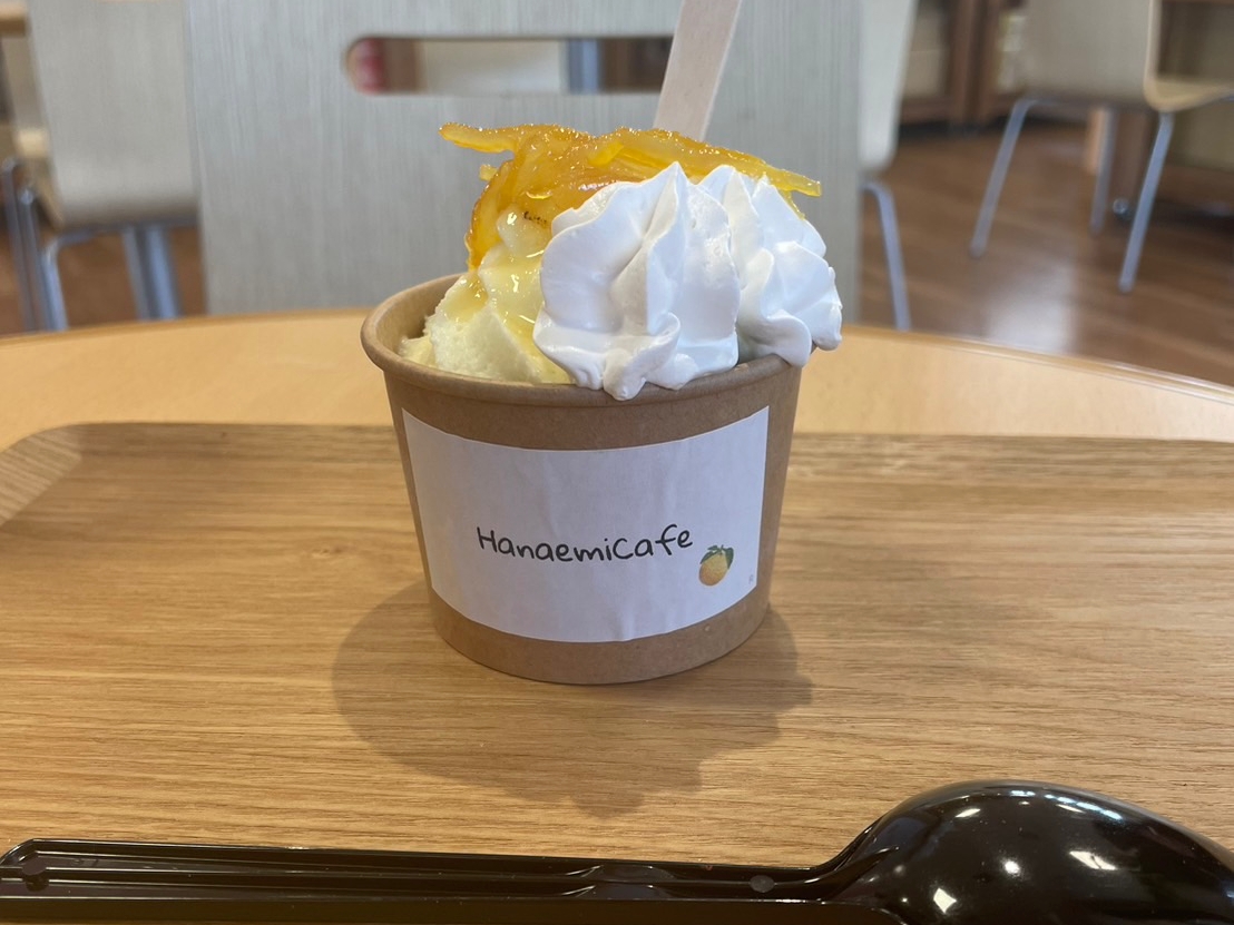 ハナエミカフェの柚子ソフトクリーム