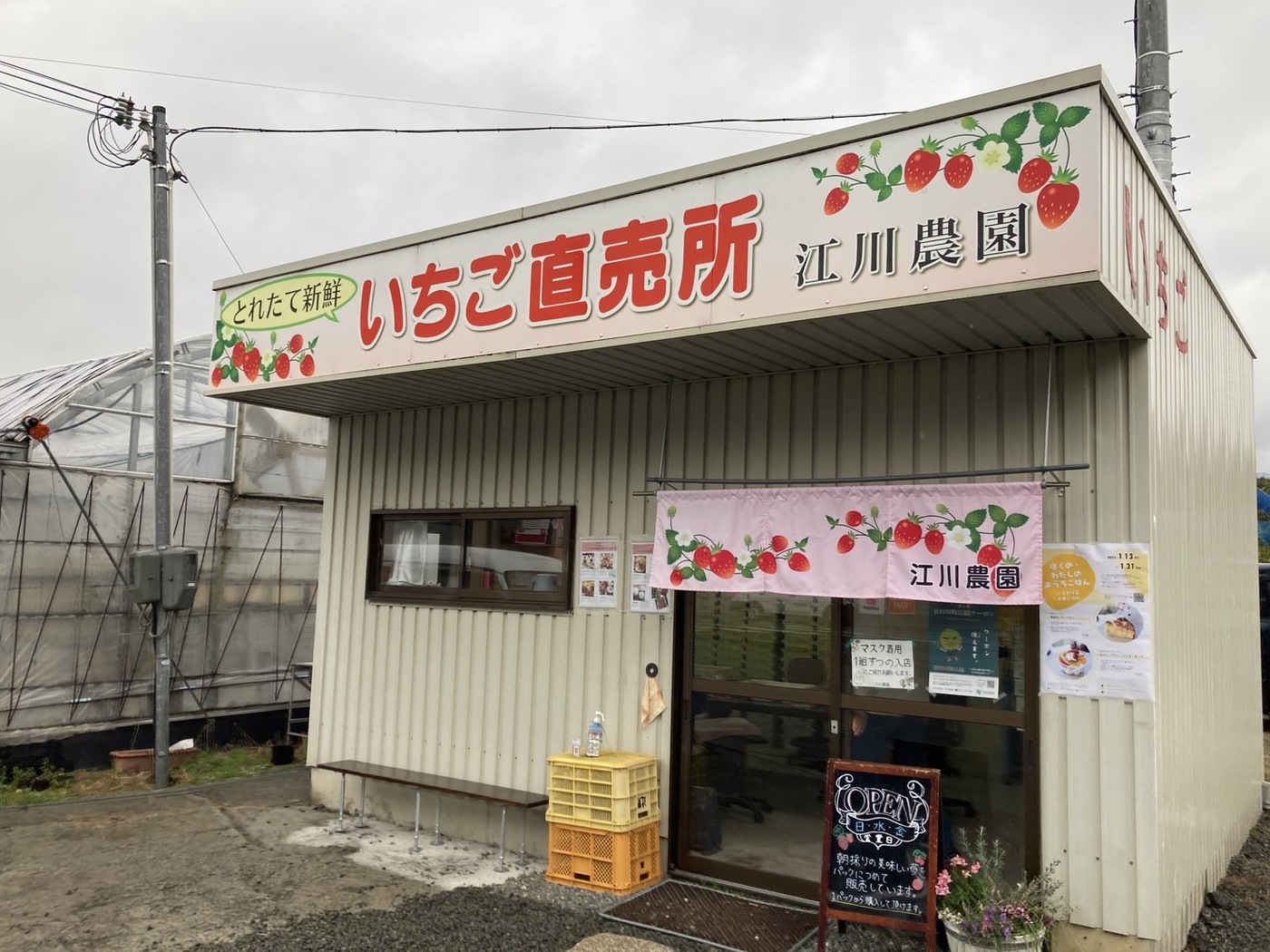和歌山のイチゴは1月〜5月末までが旬！おすすめの直売所5選を紹介
